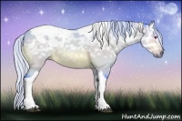 Horse Color:Watercolor Silver Brown Chinchilla Ice Tobiano