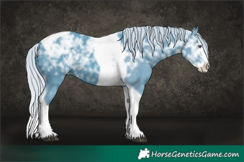 Horse Color:Watercolor Silver Black Chinchilla Ice Splash Tobiano