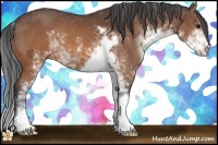 Horse Color:Brown Sabino