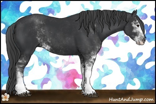 Horse Color:Black Sabino