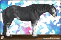 Horse Color:Black Sabino