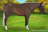 Horse Color:Silver Brown 