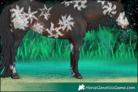 Horse Color:Brown Ice