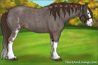 Horse Color:White Spotted Liver Red Roan Splash 