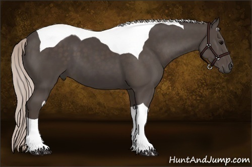 Horse Color:Silver Black Sabino Tobiano 