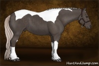 Horse Color:Silver Black Sabino Tobiano 