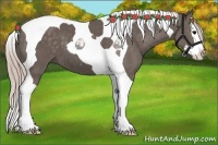 Horse Color:Silver Black Sabino Splash Tobiano