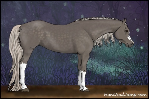Horse Color:Silver Black