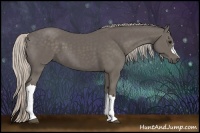 Horse Color:Silver Black 