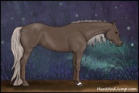 Horse Color:Silver Black 