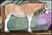 Horse Color:White Spotted Amber Champagne  and White Spotted Gold Champagne 