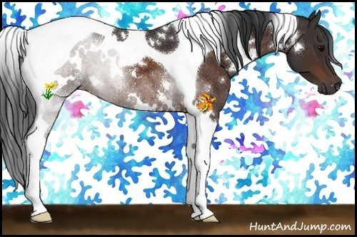 Horse Color:White Spotted Brown Tobiano 
