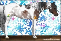 Horse Color:White Spotted Brown Tobiano 