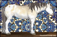 Horse Color:Brown Onyx Splash Appaloosa