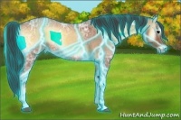 Horse Color:Thunderstruck Bay Ice Roan Onyx 