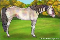Horse Color:Nacre Bay Ice Onyx