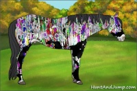 Horse Color:White Spotted Black Ice Frame Rabicano