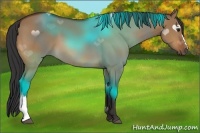 Horse Color:Bay Dun