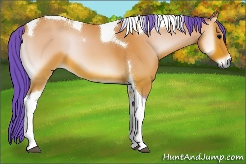 Horse Color:Watercolor Bay Onyx Tobiano 
