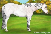 Horse Color:Bay Ice Splash Tobiano Frame