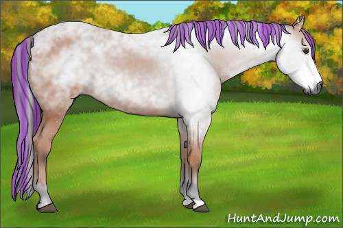 Horse Color:Gray Painted Bay