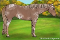 Horse Color:Chestnut Ice 