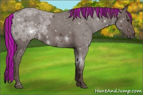 Horse Color:Painted Liver Chestnut Ice Rabicano 