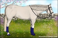 Horse Color:Smoky Creme