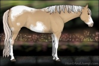 Horse Color:Silver Bay Dun Sabino Tobiano Frame Rabicano 