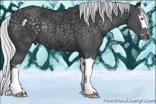 Horse Color:Silver Black Chinchilla Splash Rabicano 