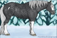 Horse Color:Silver Black Chinchilla Splash Rabicano 