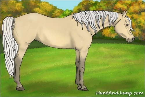 Horse Color:Silver Buckskin