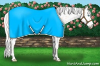Horse Color:Cremello Near Leopard