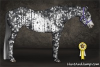Horse Color:Black Snowflake Varnish and Black Frame Snowflake Varnish