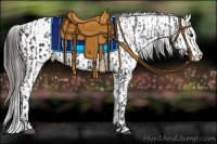 Horse Color:Black Appaloosa  and Black Appaloosa 