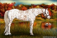 Horse Color:Chestnut Appaloosa and Chestnut Appaloosa