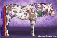 Horse Color:Painted White Spotted Bay Dun Appaloosa  and Gray Painted Bay Appaloosa 