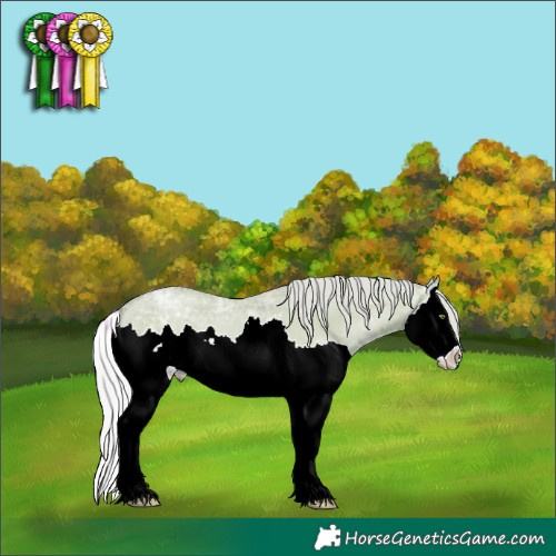 Horse Color:Watercolor Silver Classic Champagne Ice Dun Splash