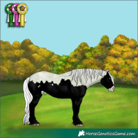 Horse Color:Watercolor Silver Classic Champagne Ice Dun Splash 