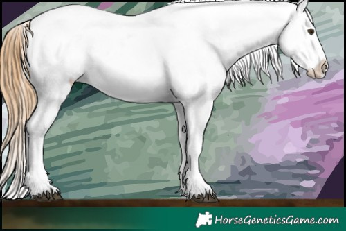Horse Color:Chestnut Near Leopard and Chestnut Near Leopard