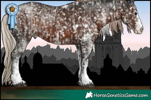 Horse Color:White Spotted Silver Black Snowflake Varnish  and White Spotted Liver Chestnut Snowflake Varnish 