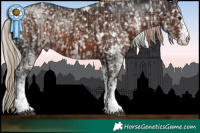 Horse Color:White Spotted Silver Black Snowflake Varnish and White Spotted Liver Chestnut Snowflake Varnish