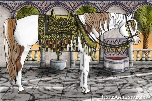 Horse Color:Liver Chestnut Splash Appaloosa  and Liver Chestnut Splash Appaloosa 