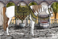 Horse Color:Liver Chestnut Splash Appaloosa and Liver Chestnut Splash Appaloosa