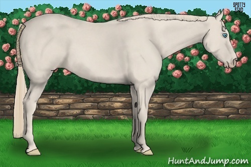 Horse Color:Smoky Creme 