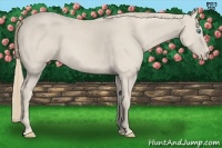 Horse Color:Smoky Creme 