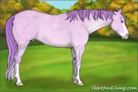Horse Color:Watercolor Perlino Dun Splash