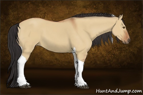 Horse Color:Bay Dun Tobiano 