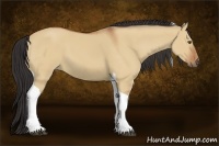 Horse Color:Bay Dun Tobiano 