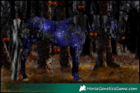 Horse Color:ERROR: UNKNOWN ANOMALY and ERROR: UNKNOWN ANOMALY